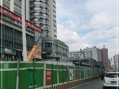 -智慧树