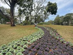 -云溪植物园
