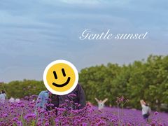 -北京国际鲜花港