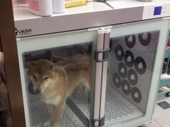 -FAELING PETS美天灵宠物(富力广场店)