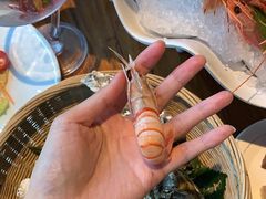 -Mr·Fish鱼鲜生海鲜放题(银泰in99店)