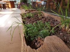 -阿嫂印象·民间江湖菜(大学城店)