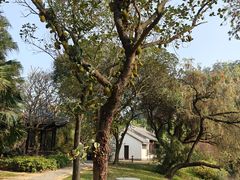-南沙蒲洲花园