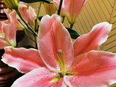 -紫莲花足道(柯桥古镇店)