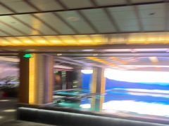 -浅深(北京北四环精品店)