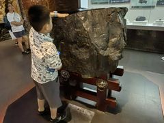 -陕西自然博物馆