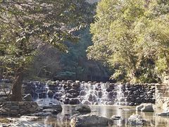 -石台牯牛降景区