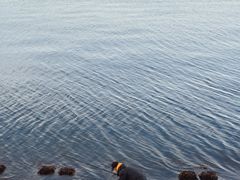 -悦海公园
