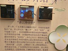 -佛山顺德香云纱园林酒店(清晖园店)