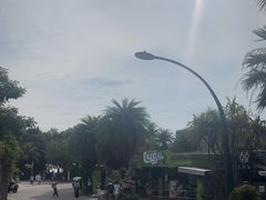 -圣淘沙天际线斜坡滑车