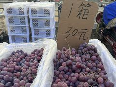 -马永华东乡手抓美食