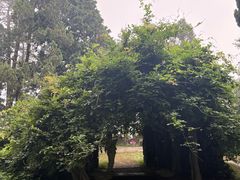 -庐山风景区花径公园