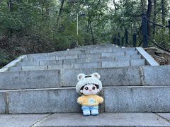 -西尖山公园