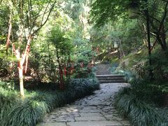 -梦姑塘文化公园