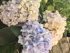 -抱龙峪