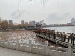 -莲花池公园