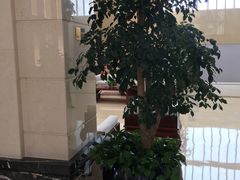 -苏州香山国际大酒店