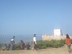 -宝安西湾红树林湿地公园