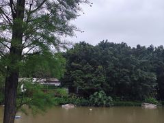 -海珠湖公园