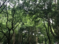 -三人行骨头王火锅(长寿店)