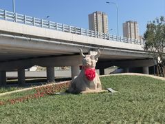 -永定河休闲森林公园