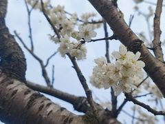 -樱桃山旅游景区