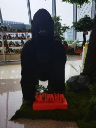 -IMON·HANSA潮玩玩偶毛绒玩具(通州万象汇店)