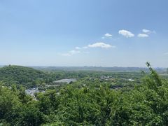 -上海佘山国家森林公园西佘山园