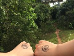 -圣淘沙天际线斜坡滑车