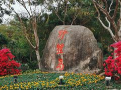 -野狸岛
