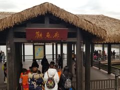 -枫香湖儿童公园