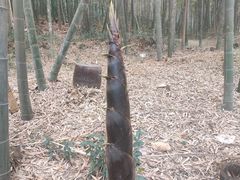 -九龙潭景区