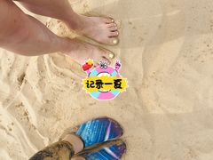 -日照海滨国家森林公园