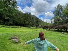 -姑婆山旅游区