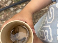 -绿堤公园