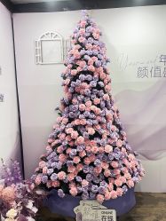 -东森自然美.INDIBA.美容SPA.皮肤管理