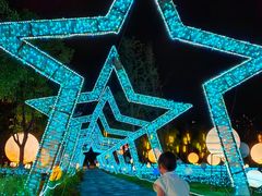 -洋湖国家湿地公园