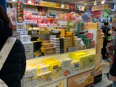 -关西国际机场直营免税店