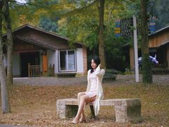 -田野绿世界