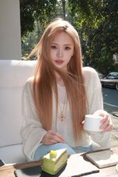 点击看大图 -镁连社·美联社