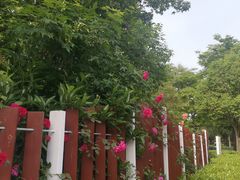 -唐城墙遗址公园