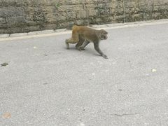 -黔灵山公园