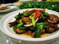 -陇菜和盛祥(金轮宾馆店)
