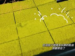 -好利来(温江合生汇店)