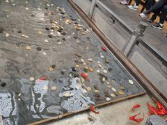 大堂-四季民福烤鸭店(前门店)