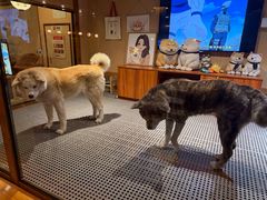 -大江户·温泉洗浴(浑南店)