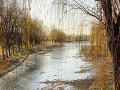 -东坝千亩湖公园