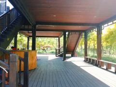 -天津东丽湖风景区