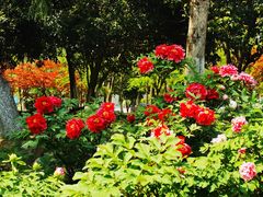 -江南大学(蠡湖校区)