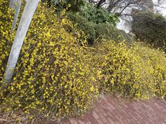 -木槿校园影城(闵行交大菁菁堂店)